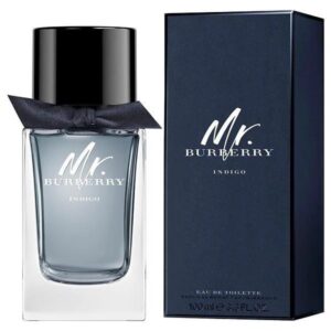 Mr.Burberry Indigo EDT 100ml for Men in Kenya